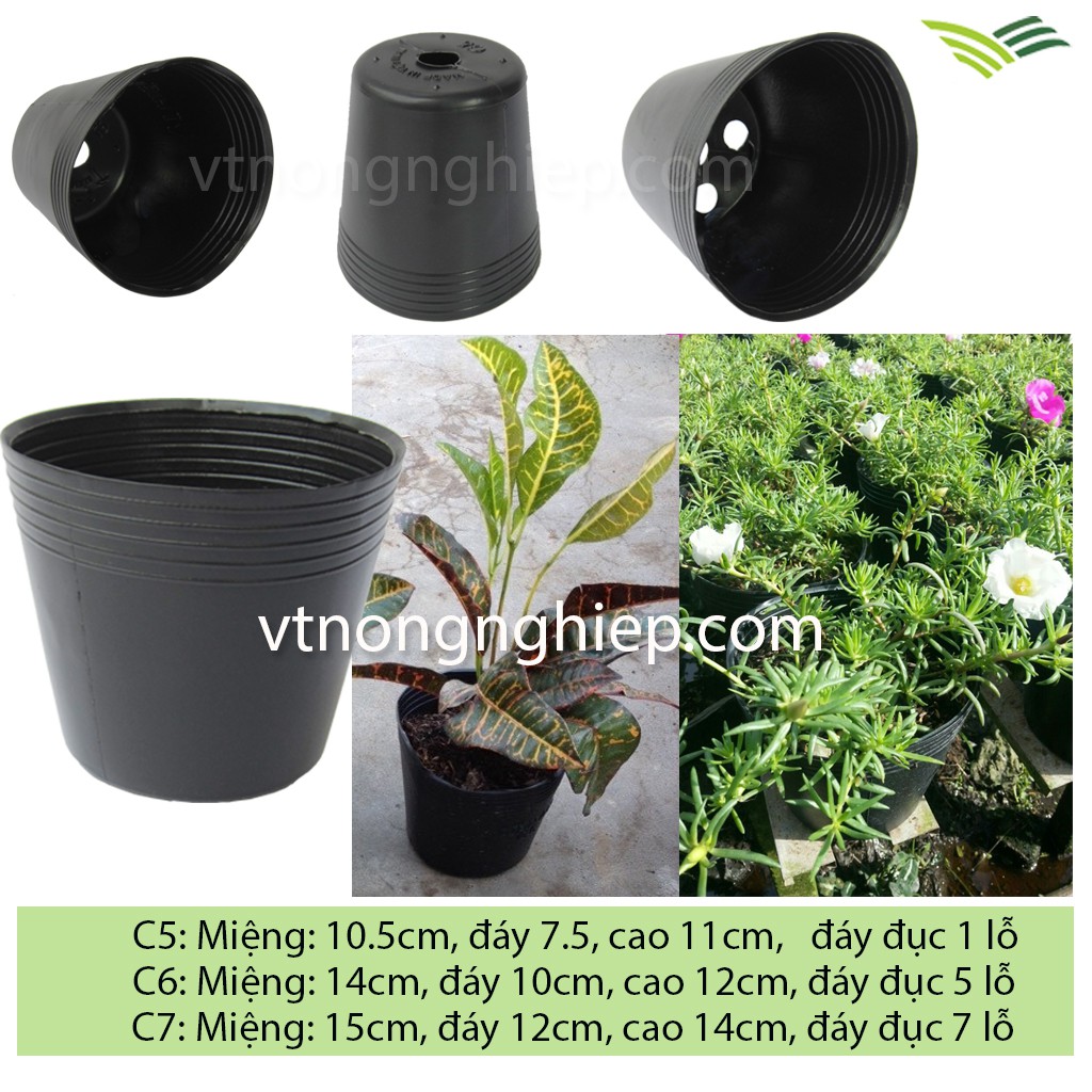 5 Chậu nhựa trồng cây, chậu nhựa đen Vĩ Hiền, chậu trồng hoa, cây cảnh, size từ C5-C10, C17-C20