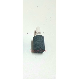 Cục Sủi Taiwan mini cho hồ cá