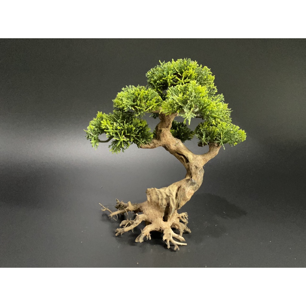 Lũa Bonsai, Lũa thủy sinh dùng trang trí hồ cá cảnh, hồ thủy sinh, văn phòng, nhà cửa