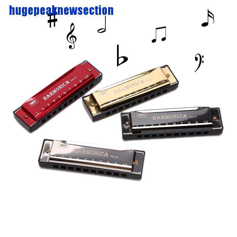 Kèn Harmonica 10 Lỗ Cho Người Mới Bắt Đầu Học