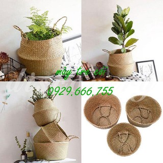 Giỏ cói || Sọt cói đựng đồ, trồng cây, đi chợ