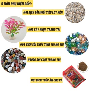 Bể cá mini CUBIC 20cm COMBO( CHỌN MẪU)Tặng 5 món phụ kiện trang trí