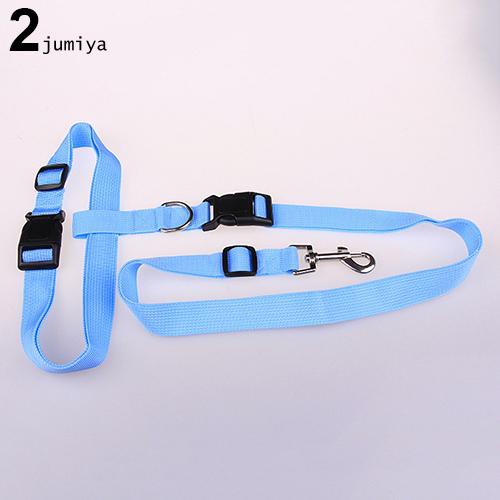 Dây xích chó đeo ngang hông tiện dụng dùng chạy bộ
