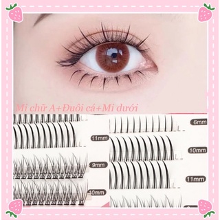 🎁Mi giả chữ A🔥đuôi cá ,mi dưới hottend trên tiktok Trung quốc ,mềm cong kiểu tự nhiên nhẹ nhàng cho mắt to ngây thơ