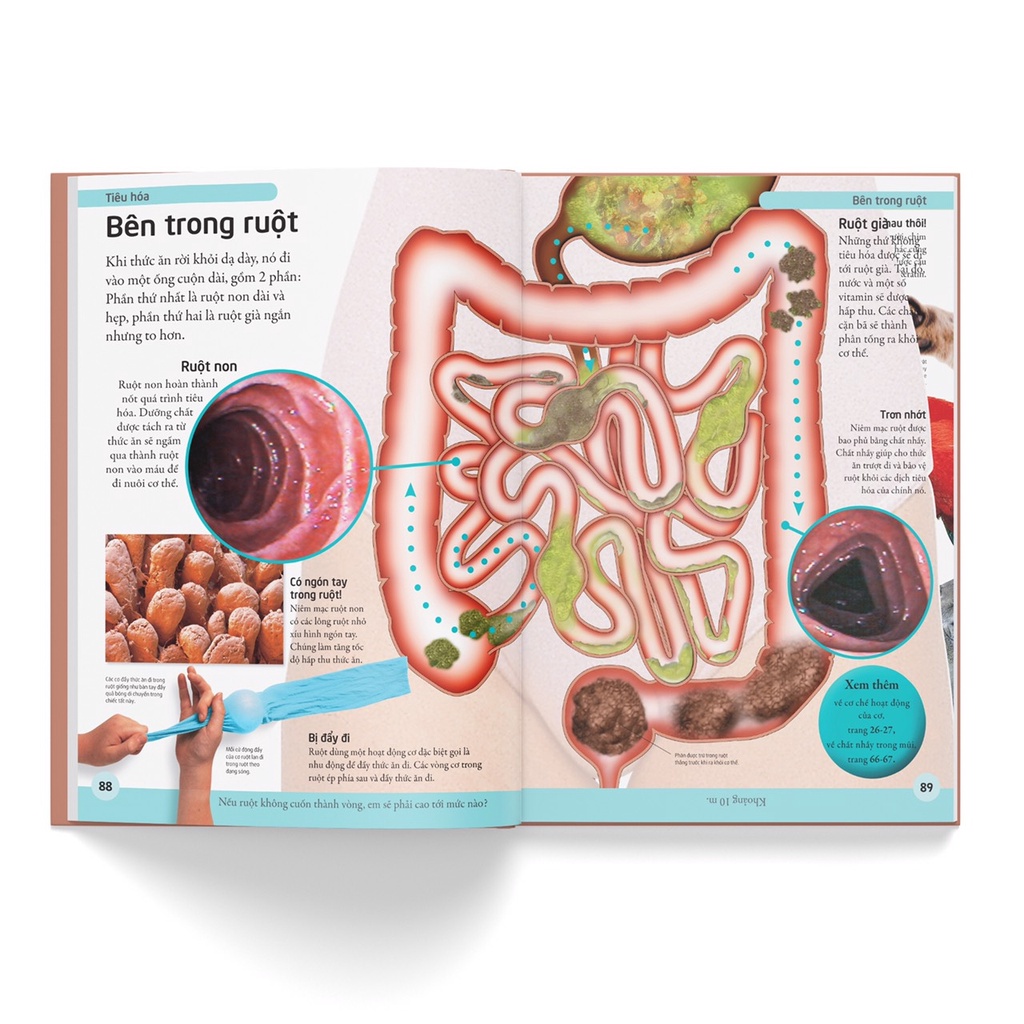 Sách- Bách khoa cho trẻ em – Bách khoa cơ thể người (Tái bản)