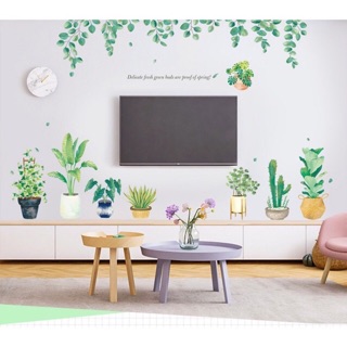 Decal dán tường hình chậu cây đẹp
