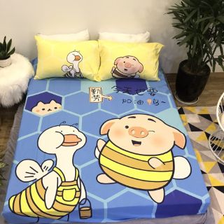 Bộ ga gối cotton 3D cho bé