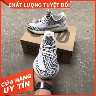 Giày Yz350 Ngựa Vằn