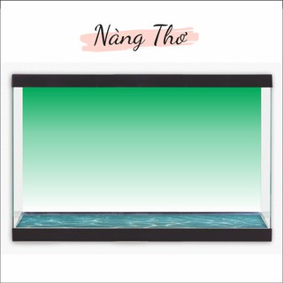 Tranh 3d dán bể cá trang trí bể cá nhiều kích thướt chọn lựa