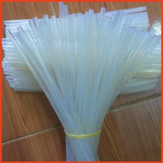10 cây Keo nến bé loại tốt 25cm !
