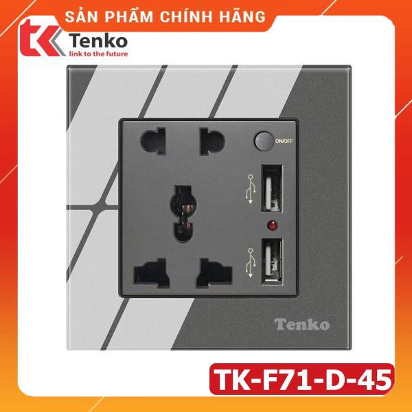 Ổ Cắm Đôi 3 Chấu Tích Hợp cổng USB + Nút Nguồn Điện mặt kính cường lực Tenko TK-F71-D-45 Màu Xám