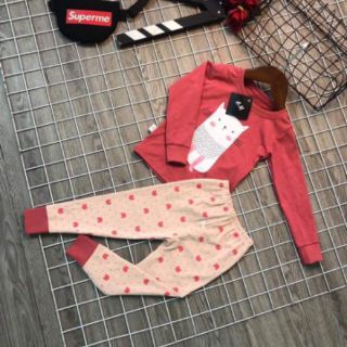 Set 5 bộ cotton len