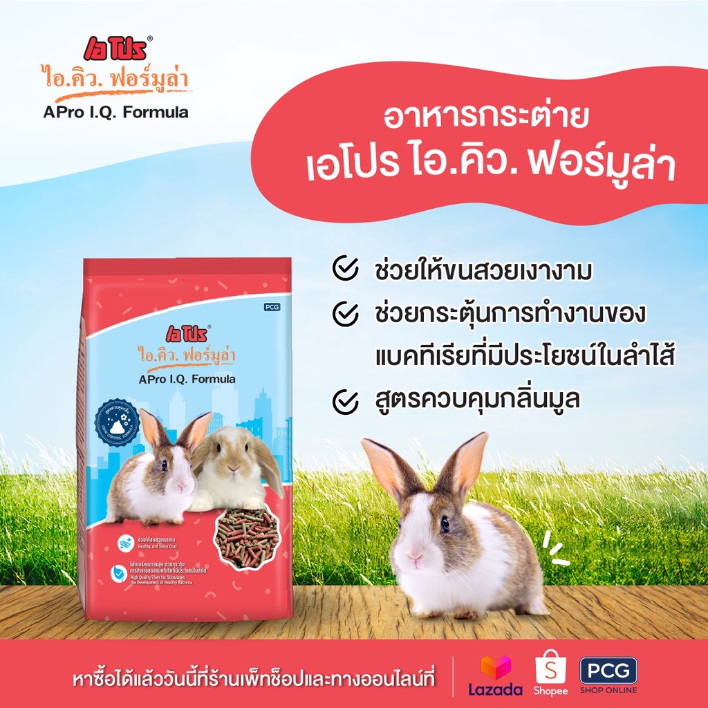 Nén thỏ APro I.Q Formula 1kg 🐶 FREE SHIP 🐶 Cung cấp dinh dưỡng tốt nhất cho thỏ
