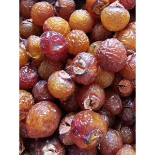 BỒ HÒN TÁCH HẠT loại 1 (80 000 đ/ kg)