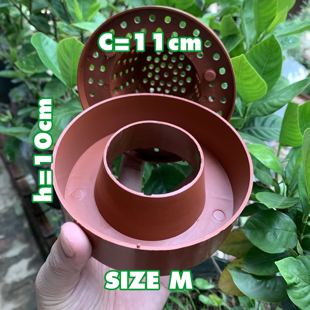 Cốc điều hòa dành cho lan nhiều cỡ giúp lan sinh trưởng mạnh mẽ.