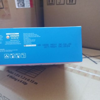 [RẺ VÔ ĐỊCH] COMBO 30 MIẾNG TÃ QUẦN CARYN SIZE L, DATE 2024