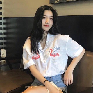 Sơ mi Hạc QC