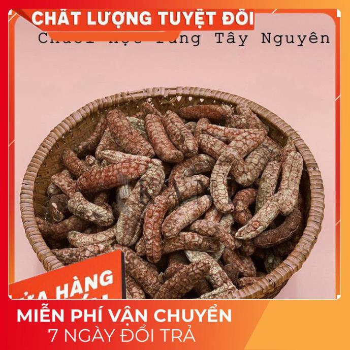 (Dược Liệu Quý) 1kg Quả chuối hột rừng Tây nguyên 🍀FREESHIP🍀Nguyên Quả Phơi Khô Tự Nhiên Chuẩn 100% | BigBuy360 - bigbuy360.vn