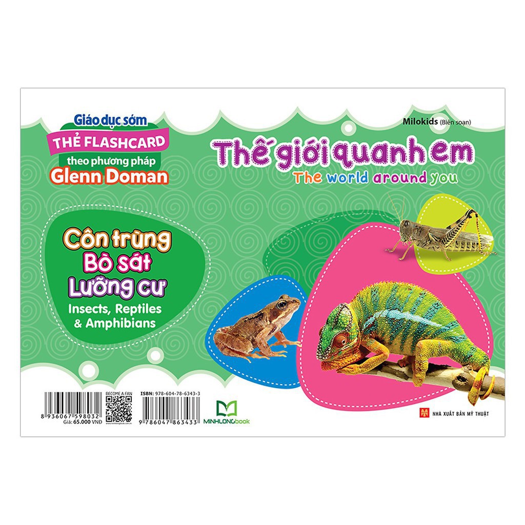 Thẻ Flashcard: Thế Giới Quanh Em - Côn Trùng, Bò Sát, Lưỡng Cư