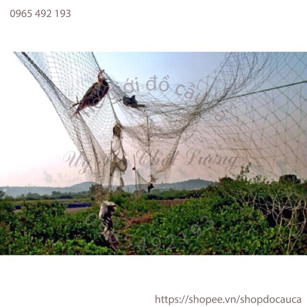 Lưới bẫy chim dài 40m cao 5m mắt lưới 6cm ( rẻ vô địch )