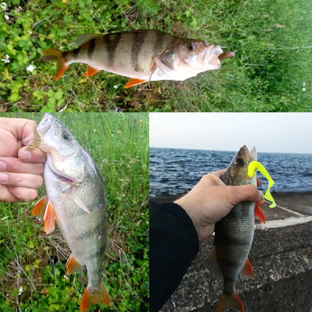 [SIÊU NHẠY] Bộ 17 mồi mềm câu lure cá lóc PROFISHING và lưỡi jig head, mồi mềm câu cá chẽm tráp biển, mồi câu cá quả