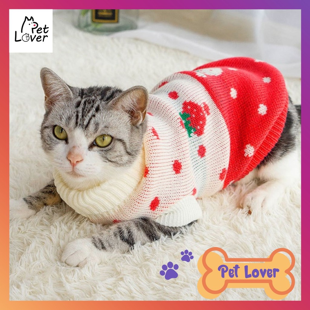 [FREESHIP] Quần áo cho mèo, áo mùa đông cho mèo, chất len, siêu đẹp và dễ thương cho chú mèo của bạn (len quả dâu)