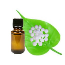 TINH DẦU LONG NÃO (10ML)