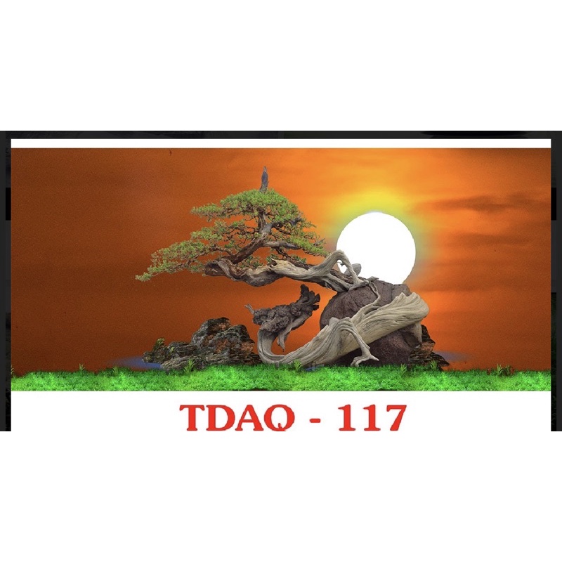 Tranh bể cá kích thước 120cm-60cm