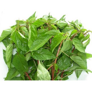 Hạt Giống Rau Đay Đỏ (20 gam)
