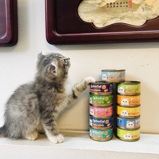 Pate cá ngừ 16 vị của Aatas Cat