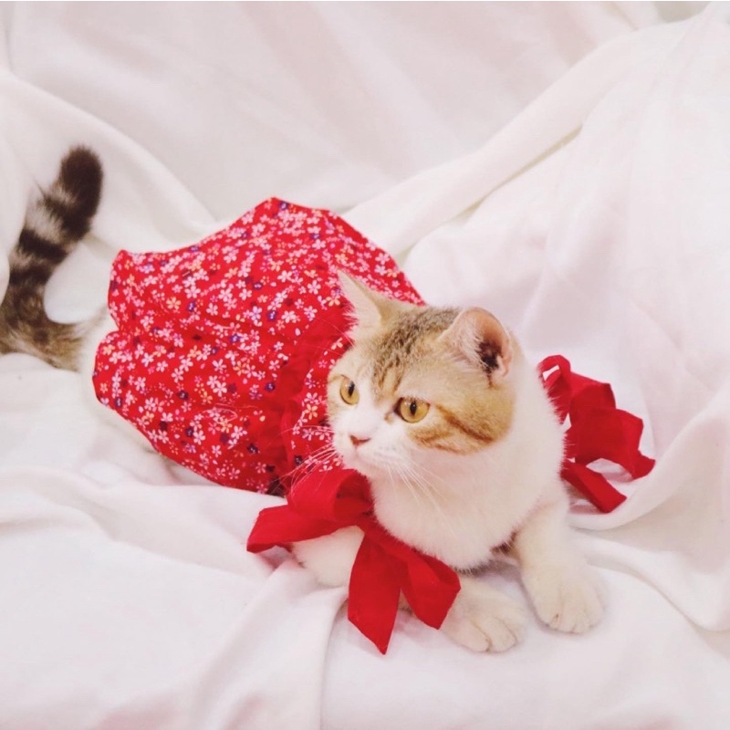 Đầm CộtNơ Thiết Kế Xinh Xắn Thời Trang Cho Thú Cưng