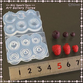 Khuôn nặn đất sét dollhouse minifood rasberry