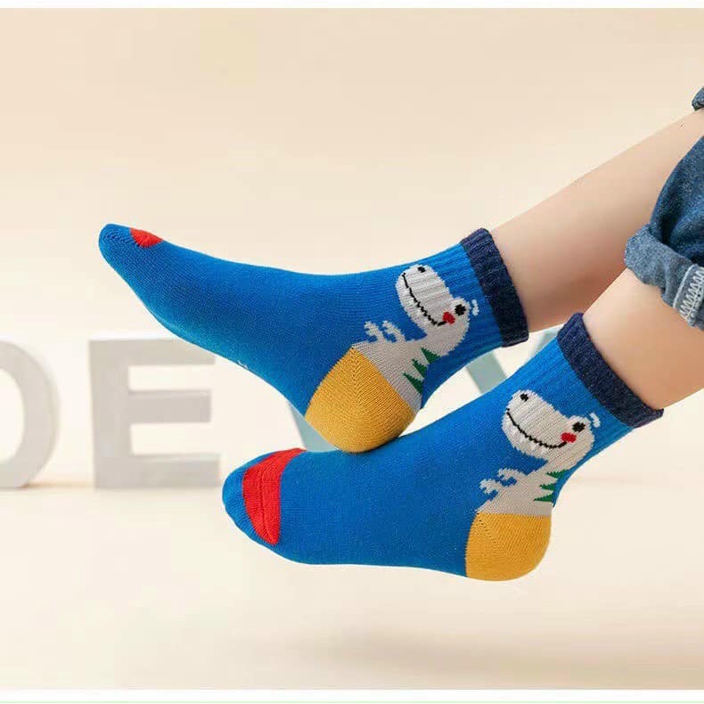 Set 5 đôi Tất cao cấp, mềm mịn, cố cao cho bé trai, Vớ khủng long cho bé 1-10 tuổi