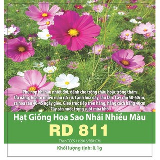 Hạt giống Hoa Sao Nhái nhiều màu 811