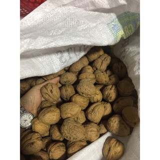 Óc chó còn vỏ - USA - 500g