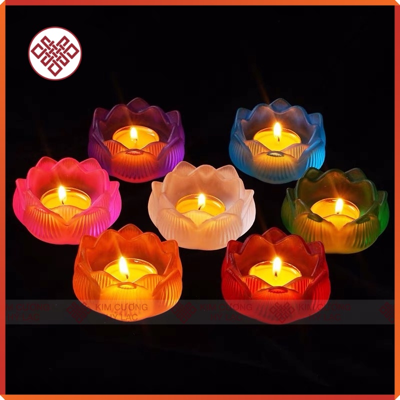 hoa sen 7 màu đế thấp