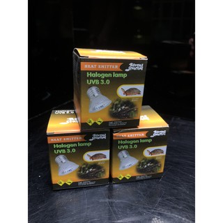 ĐÈN UVA + UVB 3.0 CỦA HT- EXOTIC ZONE