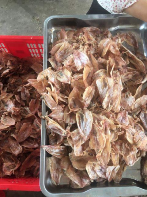 25 con MỰC câu mini