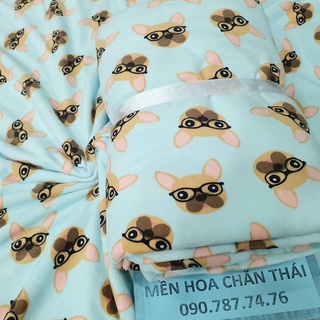 Sale 85k còn 75k🌈Mền nỉ🌈{mịn} Thái CHÓ XANH văn phòng, đi học, du lịch