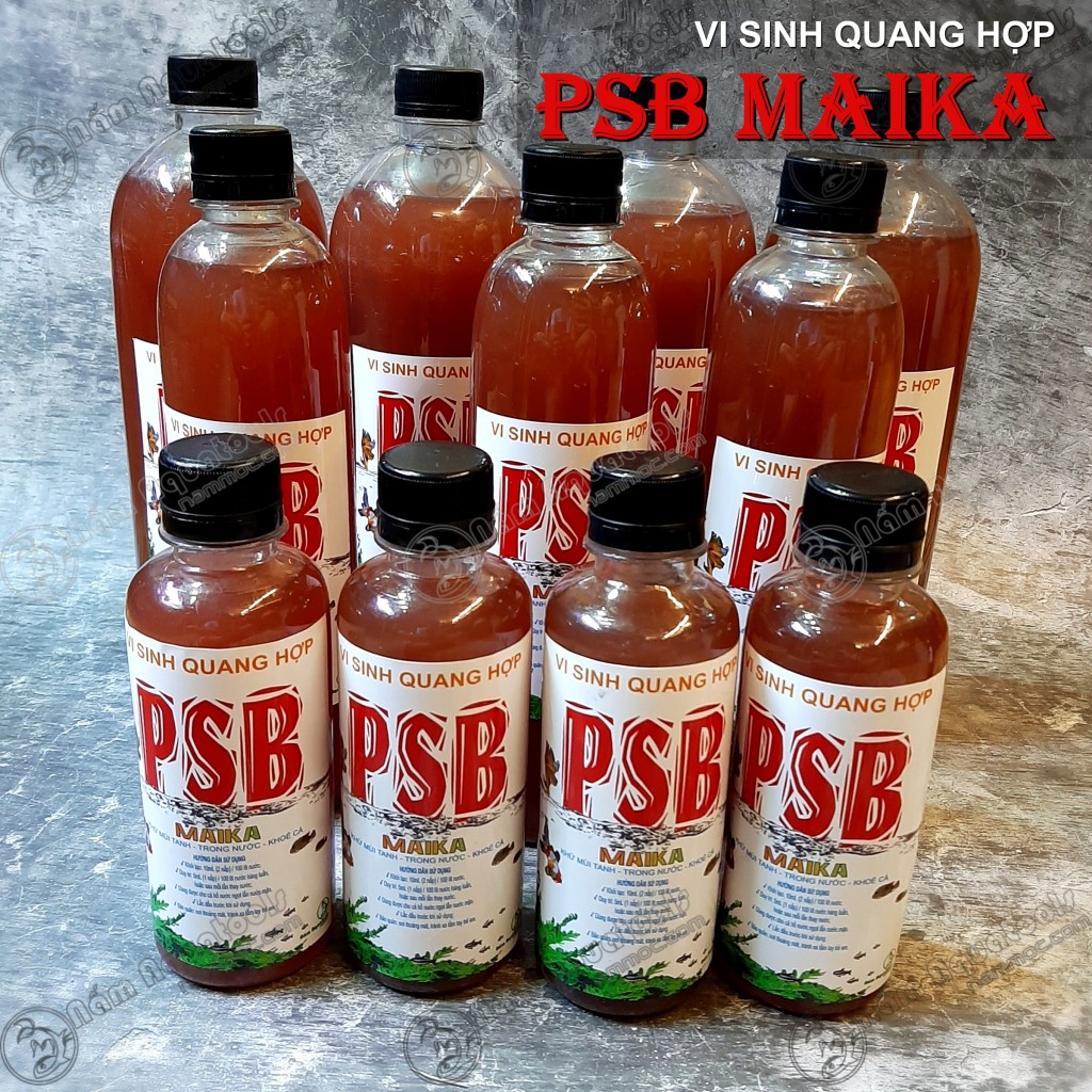 Vi Sinh PSB MAIKA | Vi sinh quang hợp làm sạch nước - Khử mùi tanh - Tạo môi trường có lợi cho cá tép