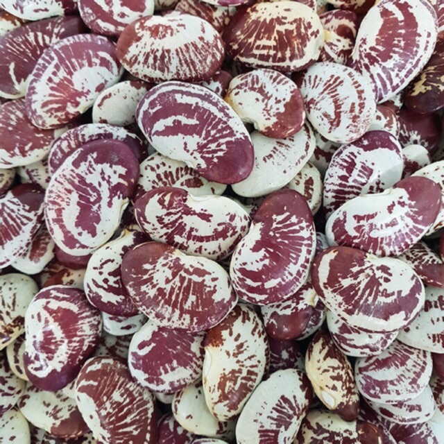 Đậu ngự Huế, đỗ ngự quê loại 1-500gr