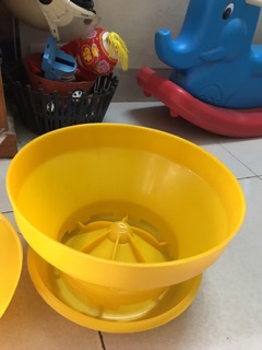 Máng Indo,Máng Tập Ăn Gà Con, Máng Baby
