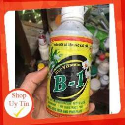 Phân bón Vitamin B1 cho Phong Lan 250ml