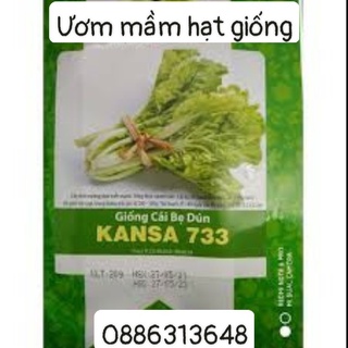 Cải bẹ dún KANSA (10g)