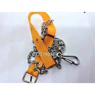 dây xích inox chó con,mèo