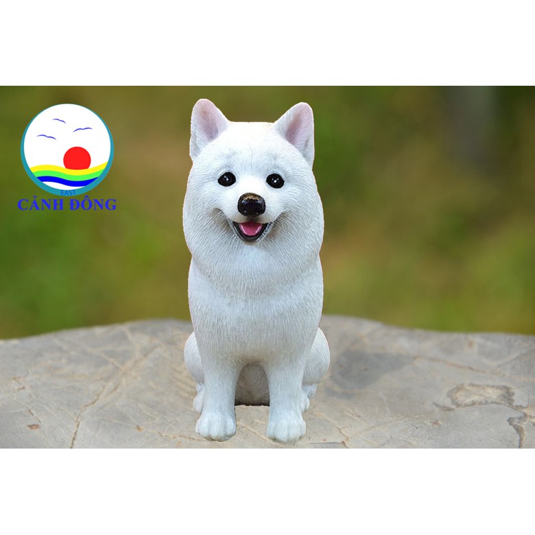 CHÓ SAMOYED TRẮNG TƯỢNG MÔ HÌNH ĐẸP