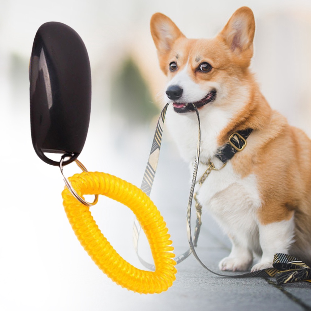 Dụng Cụ NúT BấM, DùNg Để HuấN LuyệN Thú Cưng