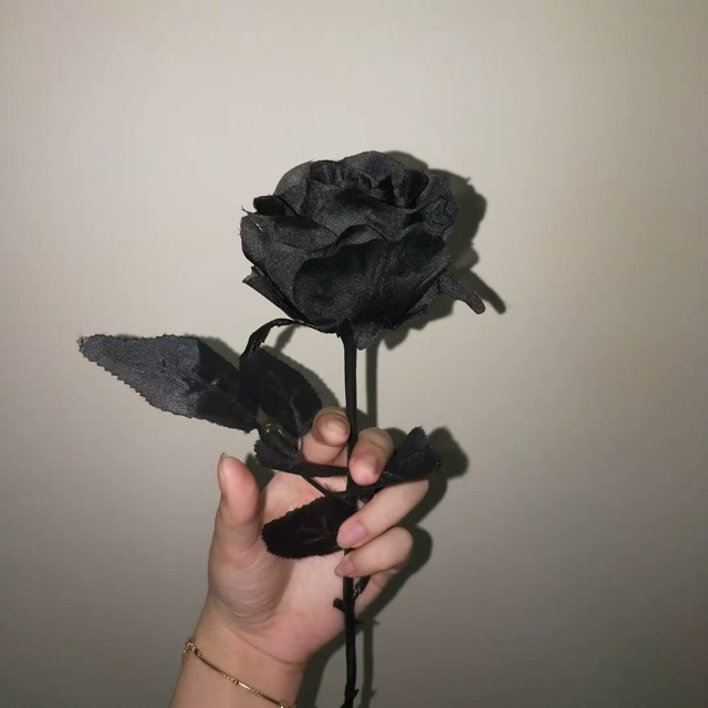 Hoa hồng đen bông to trang trí decor phòng tiện lợi( sẵn hàng sll)