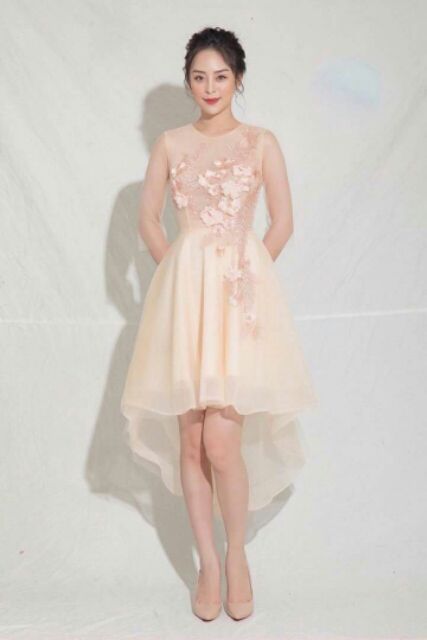 Đầm xòe công chúa  đi tiệc đuôi tôm sang chảnh