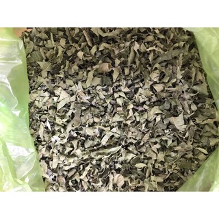 LÁ VỐI KHÔ LÀM TRÀ